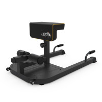 Тренажер для приседаний/гиперэкстензия DFC LEXPA D282 Тренажер для приседаний/гиперэкстензия DFC LEXPA D282