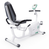 Горизонатльный велотренажер DFC LEXPA Горизонатльный велотренажер DFC LEXPA