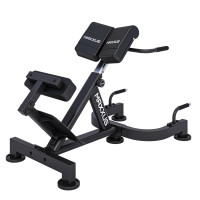 Гиперэкстензия / римский стул DFC MAXXUS Гиперэкстензия / римский стул DFC MAXXUS