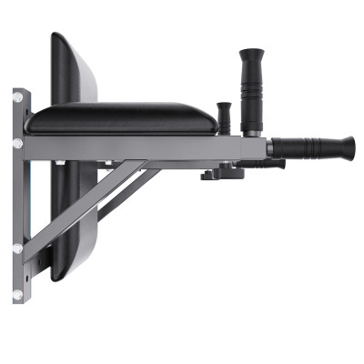 Брусья настенные DFC Homegym G294