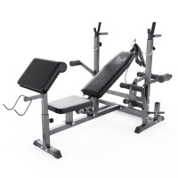 Скамья со стойками под штангу DFC GYRONETICS GN008 с партой для бицепса Скамья со стойками под штангу DFC GYRONETICS GN008 с партой для бицепса