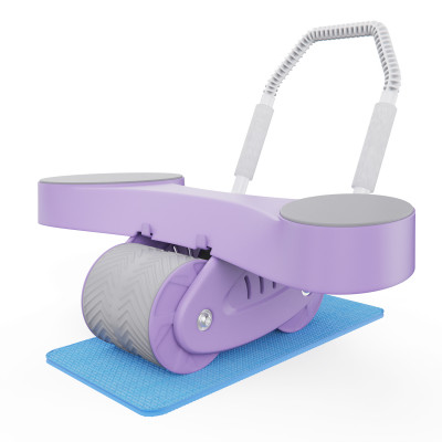 Тренажёр для пресса AB Roller SND-P фиолетовый с ковриком 34 х 17 x 0.6 cм