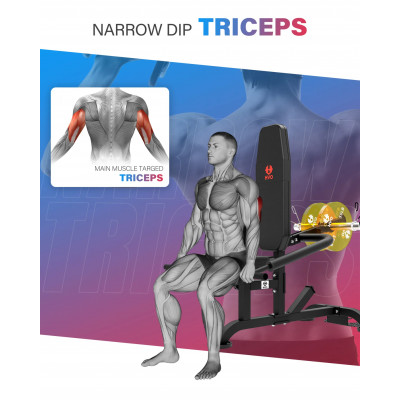 Тренажер для бицепса и трицепса DFC D2003A Тренажер для бицепса и трицепса DFC D2003A