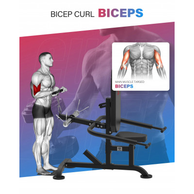Тренажер для бицепса и трицепса DFC D2003A Тренажер для бицепса и трицепса DFC D2003A