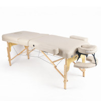 Массажный стол DFC PROFI3 TS312H складной