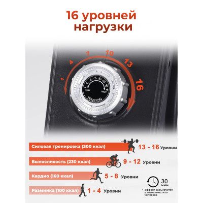 Гребной тренажер DFC ECHANFIT, складной