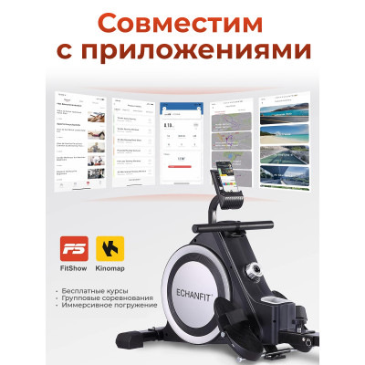 Гребной тренажер DFC ECHANFIT, складной