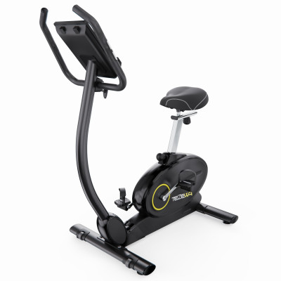 Электромагнитный велотренажер DFC TEZEWA PRO 01