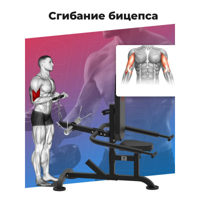 Тренажер для бицепса и трицепса DFC D2003A