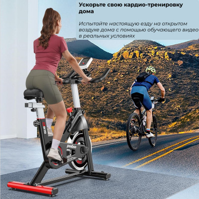 Спин-байк DFC Pooboo / магнитный, до 120 кг