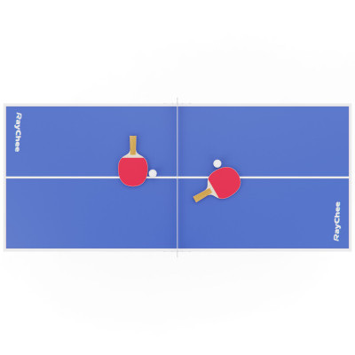 Теннисный стол DFC RayChee 60 150 x 67 см