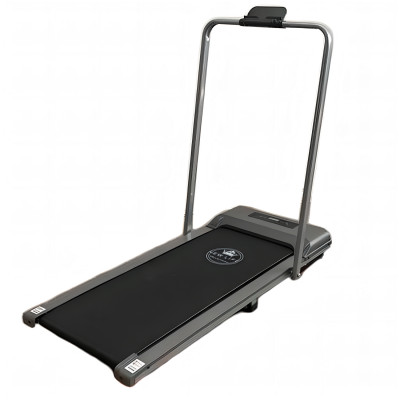 Беговая дорожка с поручнем DFC NEW LIFE TM-200z, 98 х 39,5 см