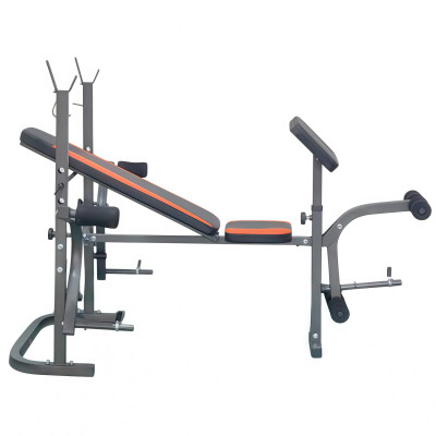 Скамья со стойками под штангу с опциями DFC D126