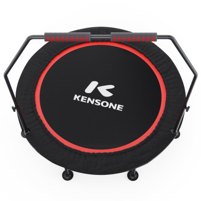 Батут для фитнеса DFC KENSONE 48 BSD-48-Black с поручнем Батут для фитнеса DFC KENSONE 48 BSD-48-Black с поручнем