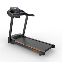 Беговая дорожка DFC SENTRA T123B Беговая дорожка DFC SENTRA T123B