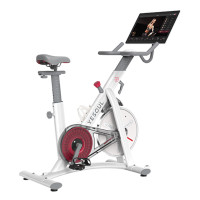 Велотренажер Yesoul BS3-W PRO PLUS Велотренажер Yesoul BS3-W PRO PLUS