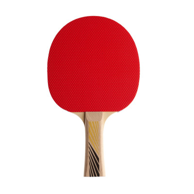 Ракетка DONIC LEGENDS 200 Ракетка DONIC LEGENDS 200