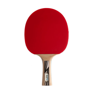 Ракетка DONIC LEGENDS SILVER Ракетка DONIC LEGENDS SILVER