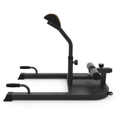 Тренажер для приседаний/гиперэкстензия DFC LEXPA D282