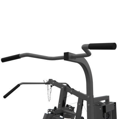 Силовой комплекс DFC D7004 (D7003 + опция брусья)