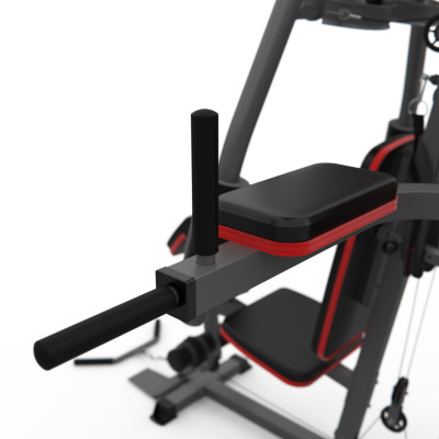 Силовой комплекс DFC D7004 (D7003 + опция брусья)