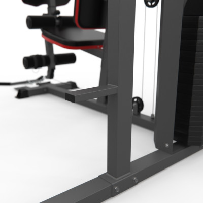 Силовой комплекс DFC D7004 (D7003 + опция брусья)