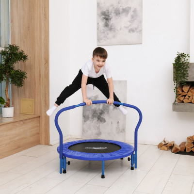 Батут с поручнем DFC Gardenature 36'' синий