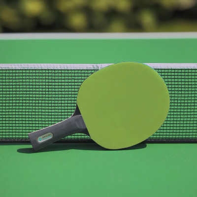 Ракетка DONIC COLOR Z LIME GREEN Ракетка DONIC COLOR Z LIME GREEN