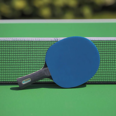 Ракетка DONIC COLOR Z BLUE