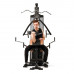 Силовой комплекс DFC HomeGym D5125 стек 81.5 кг