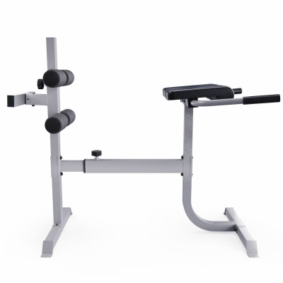 Гиперэкстензия / римский стул DFC CAP, серебряный