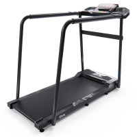 Беговая дорожка DFC Cora T165