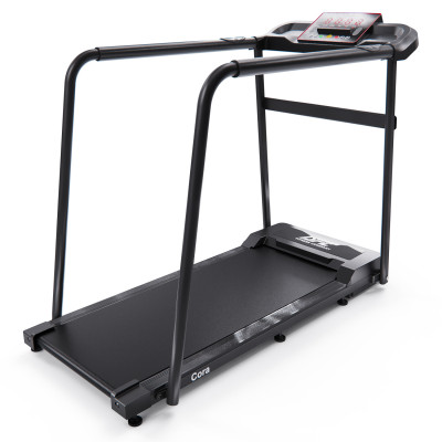 Беговая дорожка DFC Cora T165