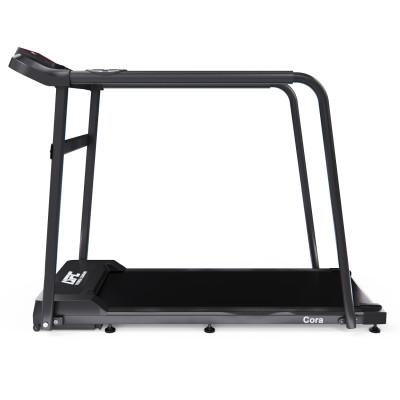 Беговая дорожка DFC Cora T165 Беговая дорожка DFC Cora T165