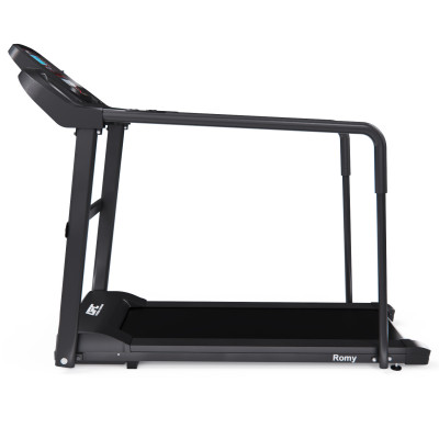 Беговая дорожка DFC Romy T195