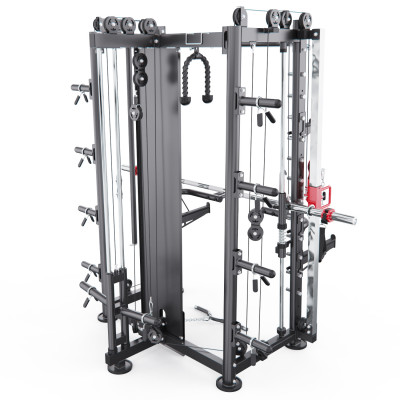 Мультистанция, машина Смита DFC Gorilla Sport 822