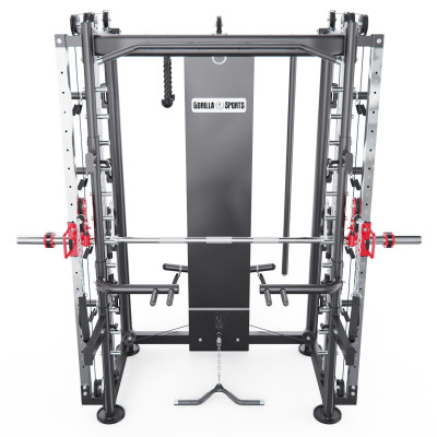 Мультистанция, машина Смита DFC Gorilla Sport 822