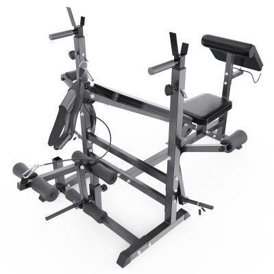 Скамья со стойками под штангу DFC GYRONETICS GN008 с партой для бицепса