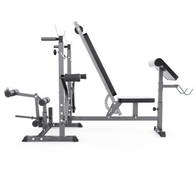 Скамья со стойками под штангу DFC GYRONETICS GN008 с партой для бицепса