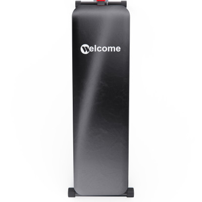 Скамья для пресса регулируемая DFC WRK-1008 / до 120 кг