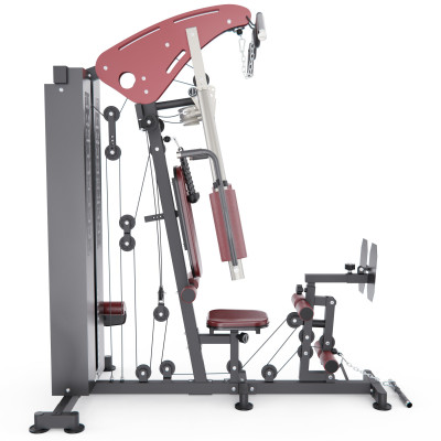 Силовой комплекс DFC D7009