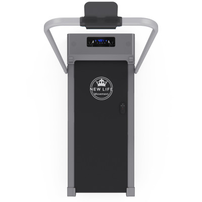 Беговая дорожка с поручнем DFC NEW LIFE TM-200z, 98 х 39,5 см