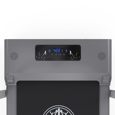 Беговая дорожка с поручнем DFC NEW LIFE TM-200z, 98 х 39,5 см