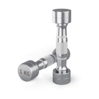 Гантель UNIX Fit PRO круглая хромированная 1 кг, 2 шт.