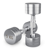 Гантель UNIX Fit PRO круглая хромированная 5 кг, 2 шт.