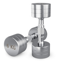 Гантель UNIX Fit PRO круглая хромированная 6 кг, 2 шт.