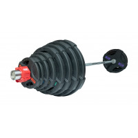 Штанга олимпийская 180 кг (диски с двумя хватами)