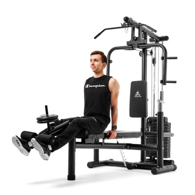 Силовой комплекс DFC HomeGym D854 Силовой комплекс DFC HomeGym D854